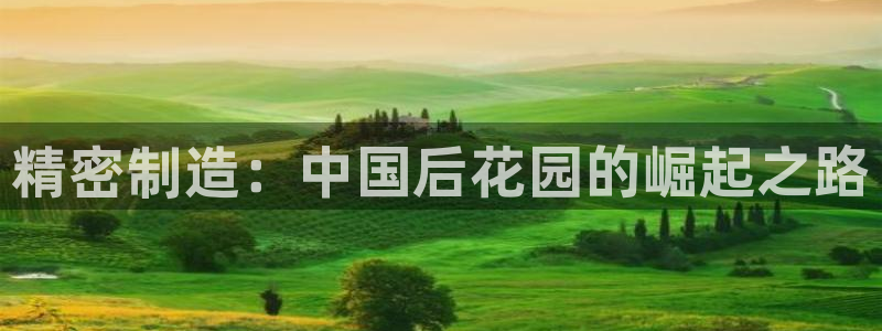 彩神旗下有哪些平台可以玩
