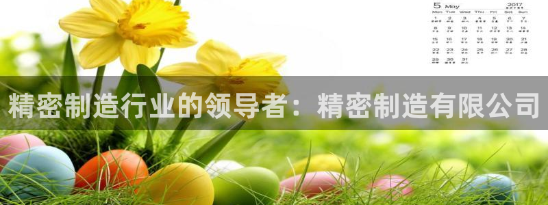 彩神v8手机客户端：精密制造行业的领导者：精密制造有限公司