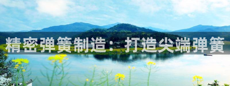 彩神vll首页企业文化：精密弹簧制造：打造尖端弹簧