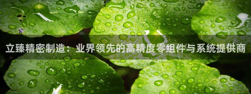 v彩神88iii：立臻精密制造：业界领先的高精度零组件与系统提供商