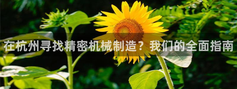 彩神网合法吗：在杭州寻找精密机械制造？我们的全面指南