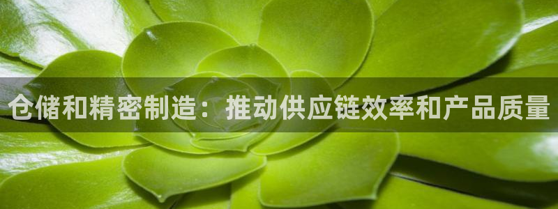彩神v8是一个什么平台游戏：仓储和精密制造：推动供应链效率和产品质量