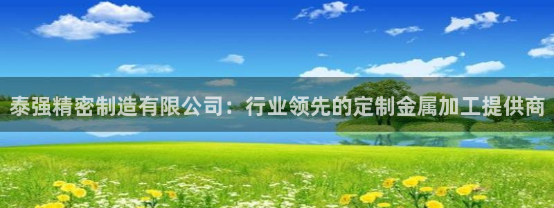 彩神vlll(中国)百度百科：泰强精密制造有限公司：行业领先的定制金属加工提供商
