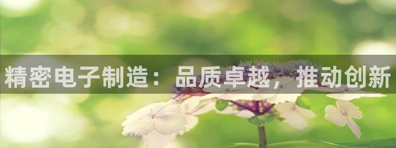 彩神购彩-购彩大厅入口计划群：精密电子制造：品质卓越，推动创新