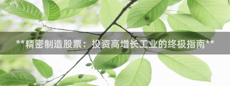 彩神v8购彩大厅登：**精密制造股票：投资高增长工业的终极指南**