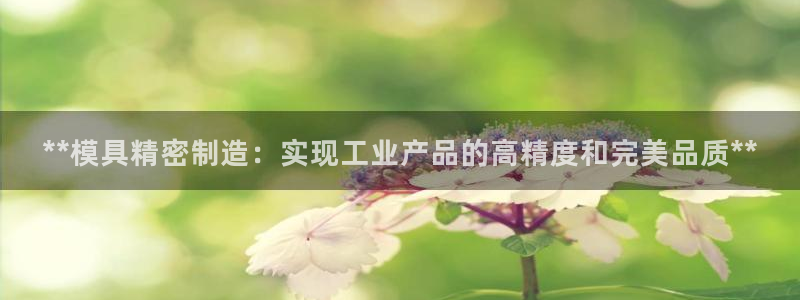 彩神官方网站登录是多少：**模具精密制造：实现工业产品的高精度和完美品质**