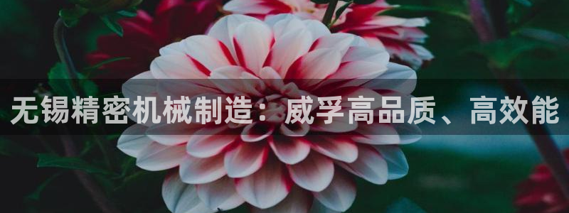 彩神v8手机客户端：无锡精密机械制造：威孚高品质、高效能