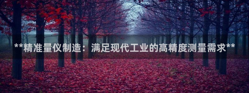 彩神v8平台正规吗知乎：**精准量仪制造：满足现代工业的高精度测量需求**
