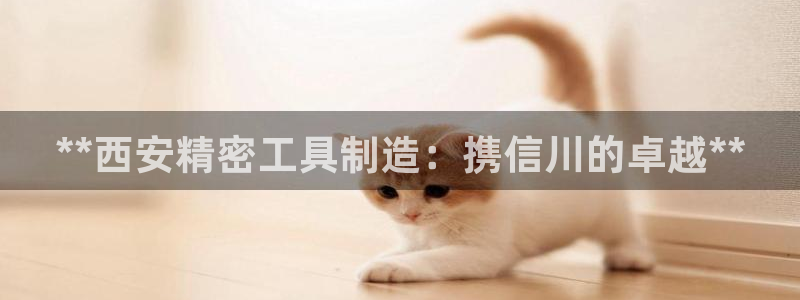 彩神是什么平台