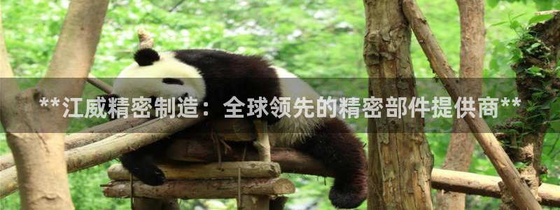 彩神平台：**江威精密制造：全球领先的精密部件提供商**