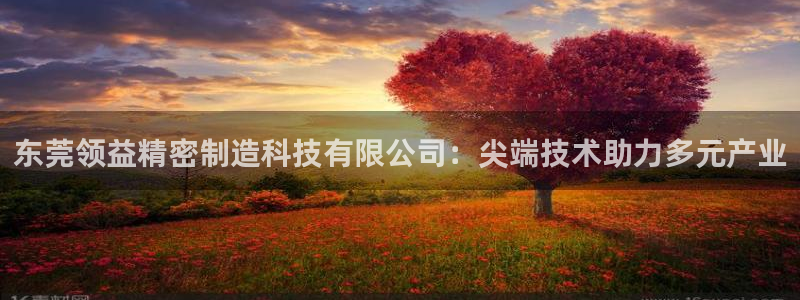 彩神V集团有限公司：东莞领益精密制造科技有限公司：尖端技术助力多元产业