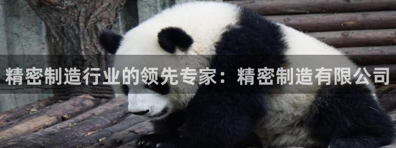 彩神8最新版下载