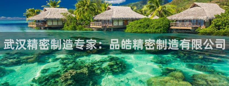 彩神V购彩大厅：武汉精密制造专家：品皓精密制造有限公司