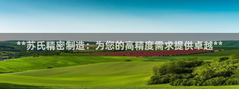 彩神v8首页：**苏氏精密制造：为您的高精度需求提供卓越**