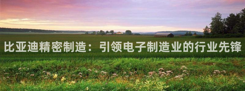 彩神VII购彩中心：比亚迪精密制造：引领电子制造业的行业先锋