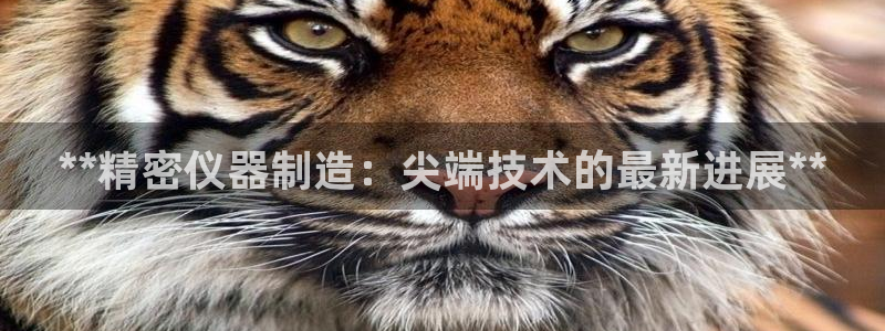 彩神网官网登录