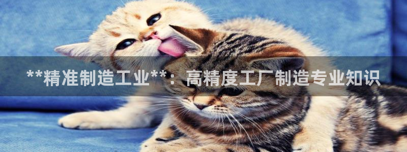 彩神viii是正规平台吗?：**精准制造工业**：高精度工厂制造专业知识