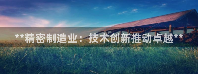 彩神8彩平台：**精密制造业：技术创新推动卓越**