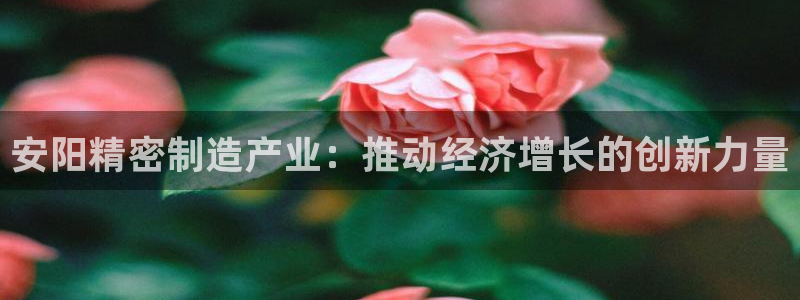 彩神盈利图片：安阳精密制造产业：推动经济增长的创新力量