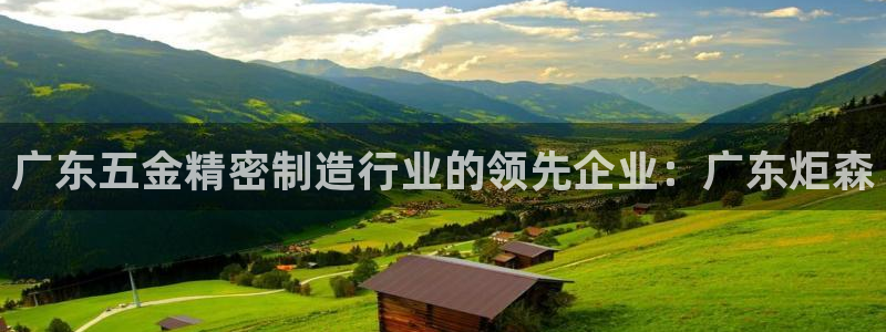 彩神8彩平台客服：广东五金精密制造行业的领先企业：广东炬森