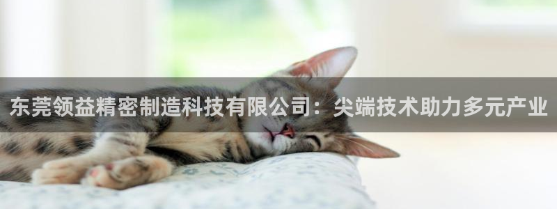 彩神平台能提现吗