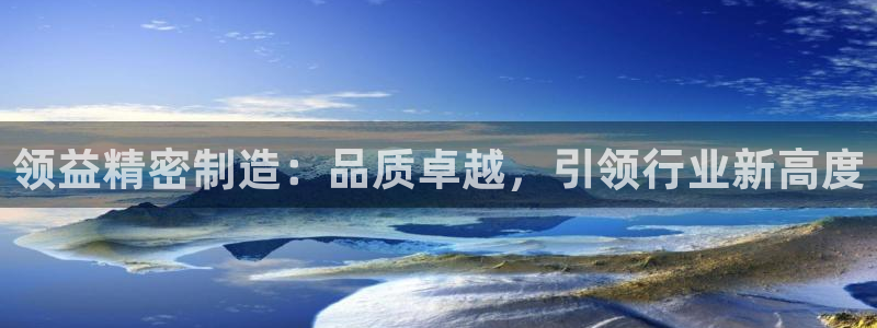 彩神v8下载app：领益精密制造：品质卓越，引领行业新高度