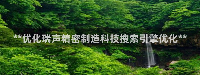 彩神v1官网：**优化瑞声精密制造科技搜索引擎优化**