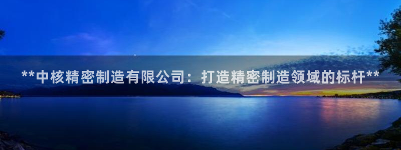 彩神赢钱了吗：**中核精密制造有限公司：打造精密制造领域的标杆**