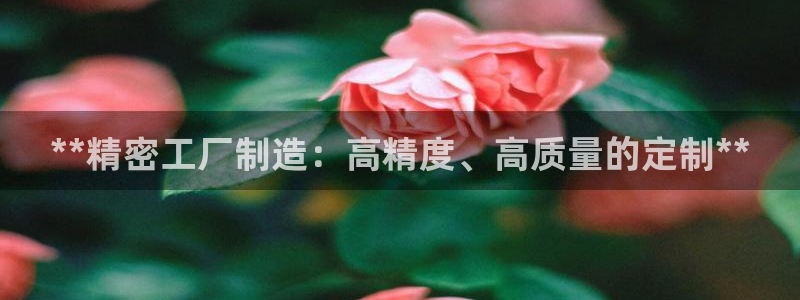 彩神合法吗.是国家认可的吗：**精密工厂制造：高精度、高质量的定制**