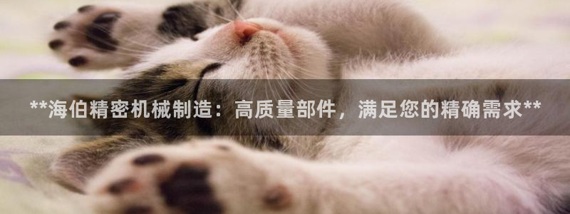彩神8是正规平台吗
