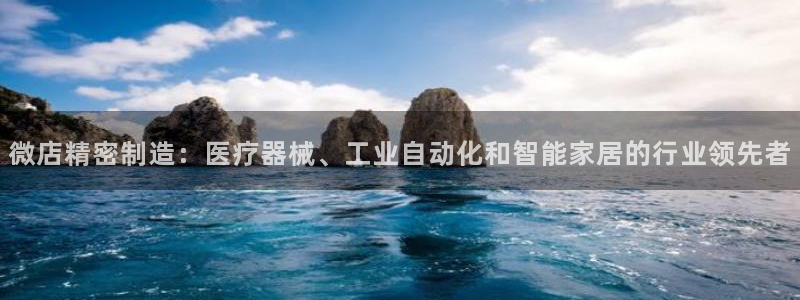 彩神x平台靠什么盈利：微店精密制造：医疗器械、工业自动化和智能家居的行业领先者