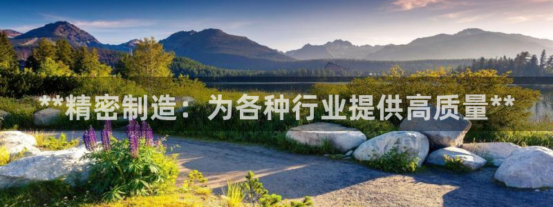 彩神vii购彩l心：**精密制造：为各种行业提供高质量**
