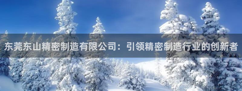 彩神VI首页：东莞东山精密制造有限公司：引领精密制造行业的创新者