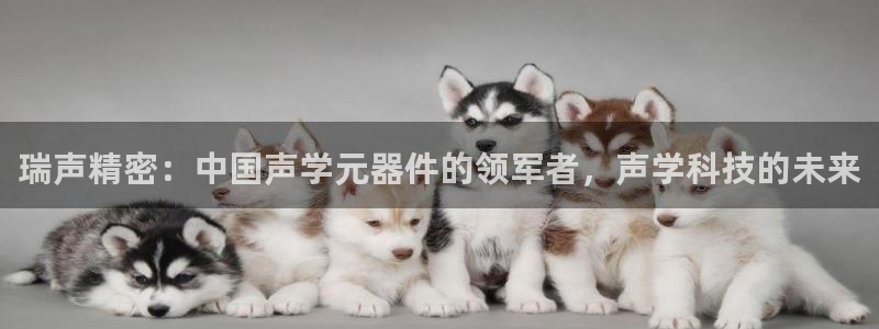 彩神天下专家专栏：瑞声精密：中国声学元器件的领军者，声学科技的未来