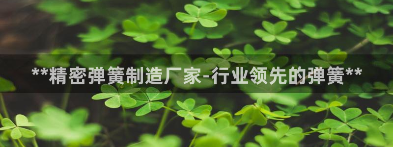 彩神v违法么：**精密弹簧制造厂家-行业领先的弹簧**