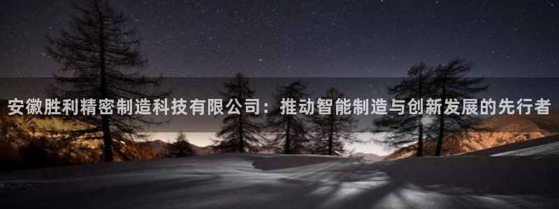 彩神赢的钱是哪里来的：安徽胜利精密制造科技有限公司：推动智能制造与创新发展的先行者