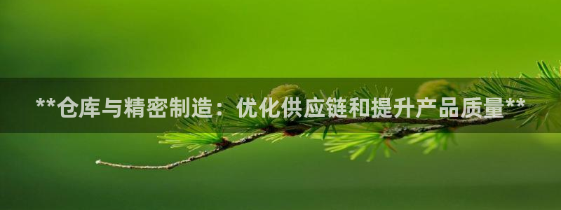 v彩神88iii：**仓库与精密制造：优化供应链和提升产品质量**