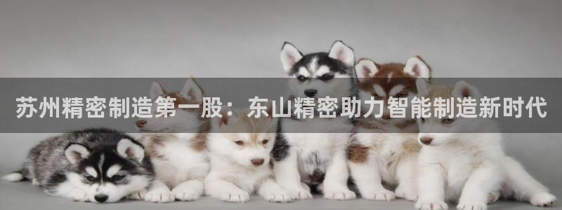 彩神通官方网