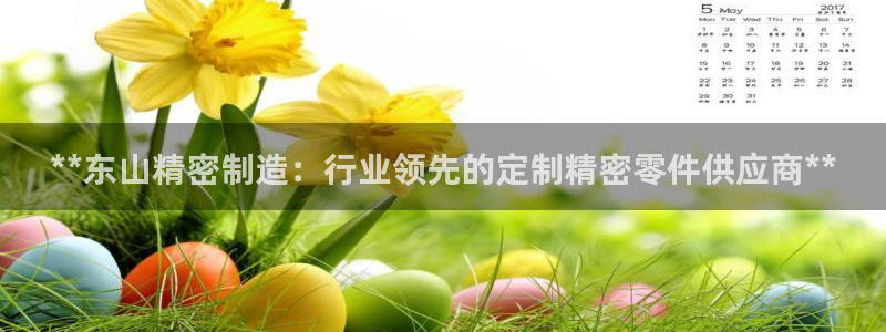 新版彩神v8登录不上去：**东山精密制造：行业领先的定制精密零件供应商**