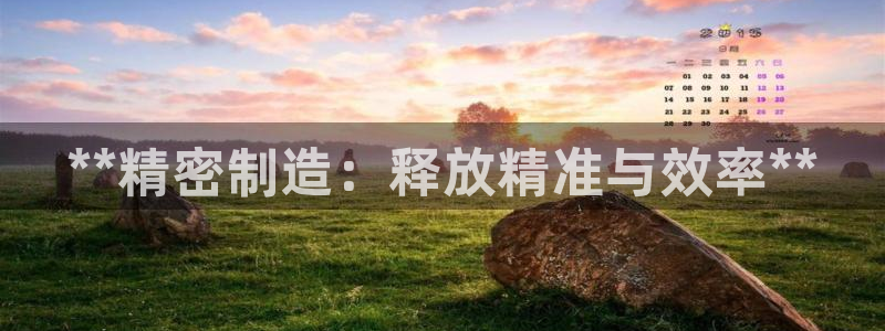 彩神是怎样一个平台赚钱的：**精密制造：释放精准与效率**