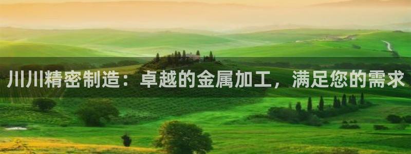 彩神V集团有限公司：川川精密制造：卓越的金属加工，满足您的需求