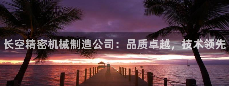 彩神vii购彩l心：长空精密机械制造公司：品质卓越，技术领先
