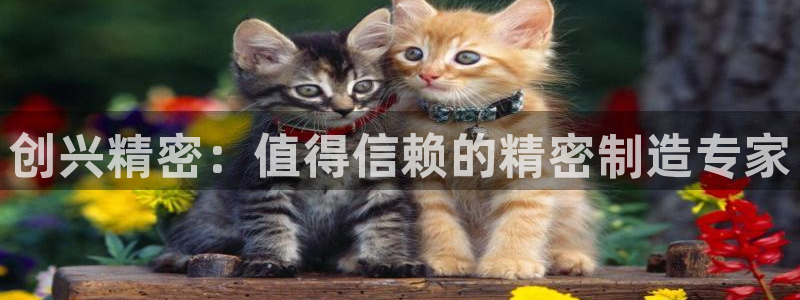 彩神正规吗：创兴精密：值得信赖的精密制造专家