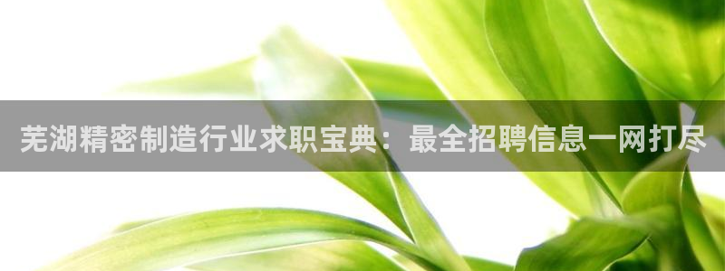 彩神是真的吗：芜湖精密制造行业求职宝典：最全招聘信息一网打尽