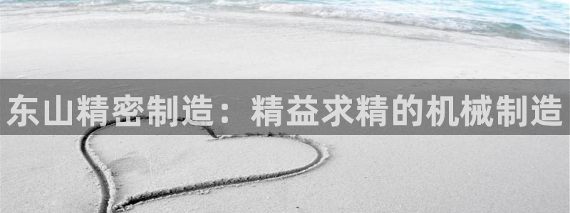 彩神iv争霸购彩大厅：东山精密制造：精益求精的机械制造