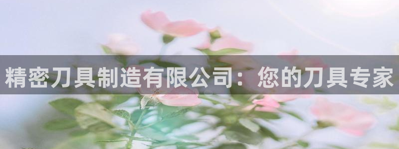 彩神viii下载安卓：精密刀具制造有限公司：您的刀具专家