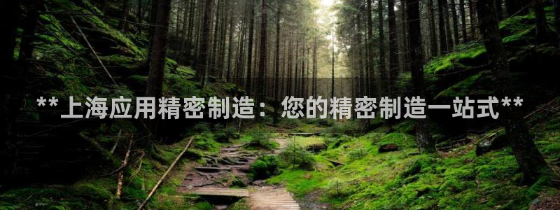 彩神v8客户端：**上海应用精密制造：您的精密制造一站式**