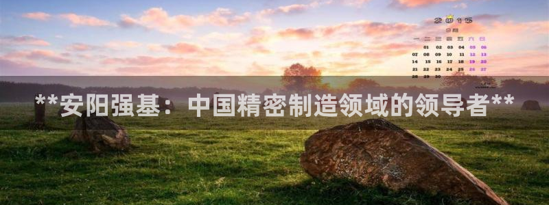 下载彩神争霸谁与我争锋：**安阳强基：中国精密制造领域的领导者**