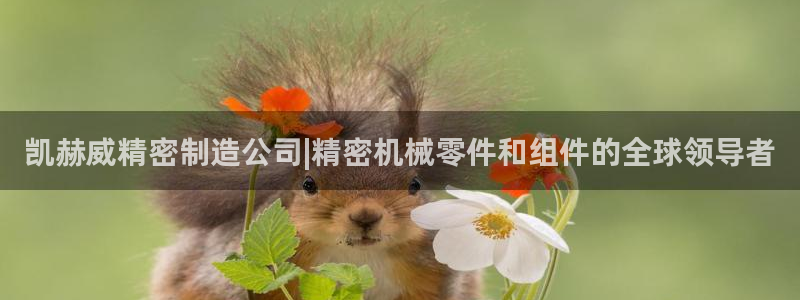彩神大发是不是人为操作：凯赫威精密制造公司|精密机械零件和组件的全球领导者