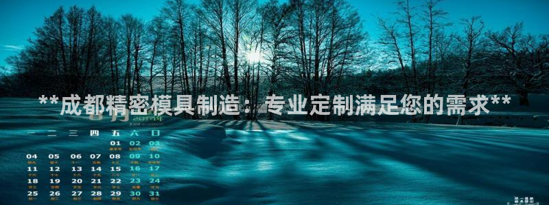 彩神v平台：**成都精密模具制造：专业定制满足您的需求**